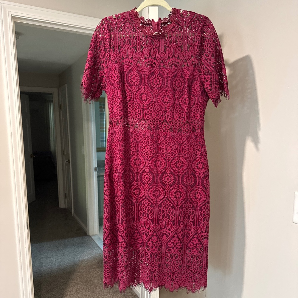 Lulus Burgandy Lace Mini Dress